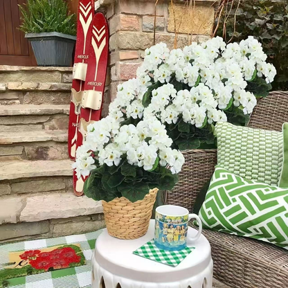 🎁 Mother’s Day 49% OFF - Artificial Geranium Flowers For Outdoors