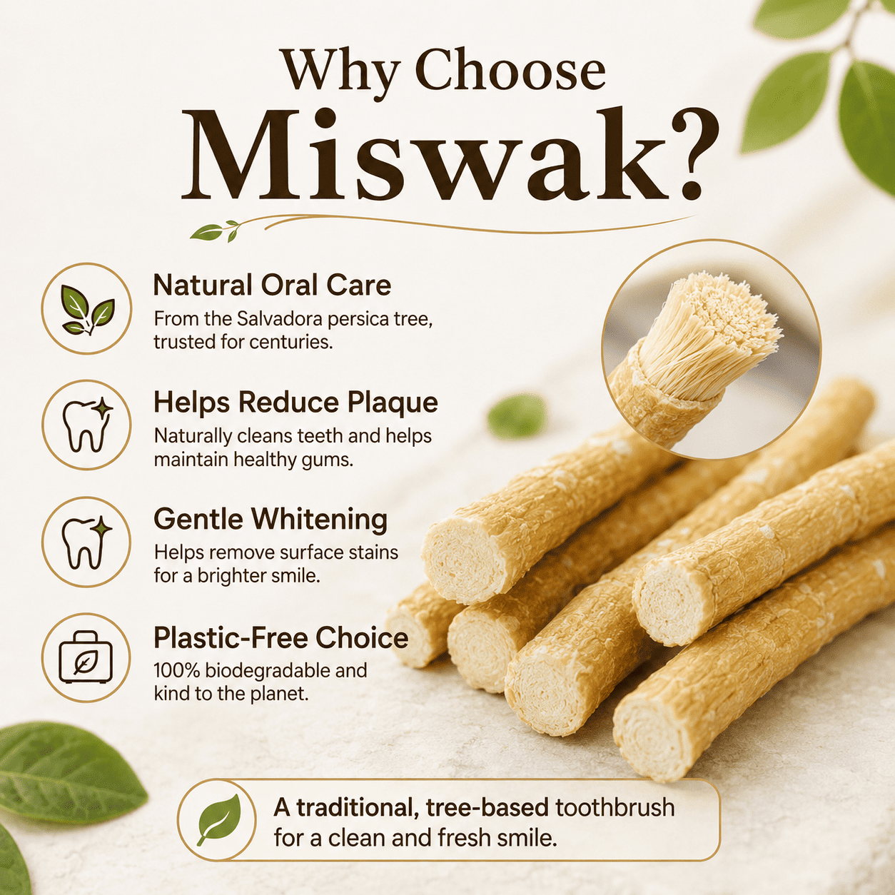 🌿🪥Natural Toothbrush Sticks – Middle Eastern Ancient Oral Care（Indvidually Wrapped）