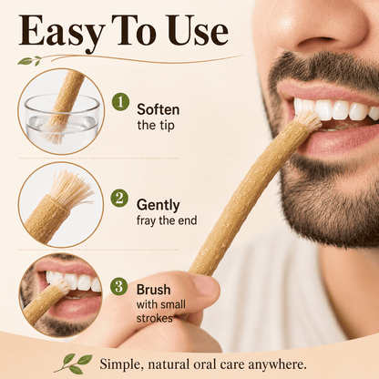 🌿🪥Natural Toothbrush Sticks – Middle Eastern Ancient Oral Care（Indvidually Wrapped）
