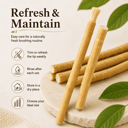 🌿🪥Natural Toothbrush Sticks – Middle Eastern Ancient Oral Care（Indvidually Wrapped）